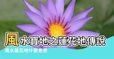 石蓮花風水